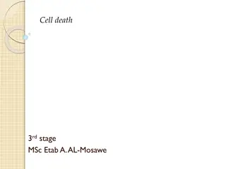 Different Types of Cell Death and Tissue Repair