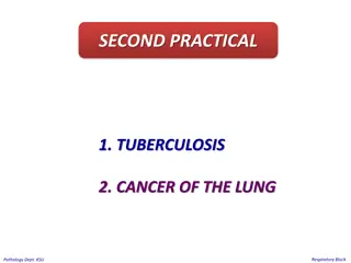 Pulmonary Tuberculosis and Lung Cancer Images in Respiratory Pathology Dept. KSU