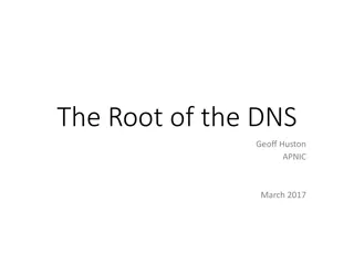 The Domain Name System (DNS) Structure