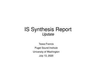 Synthesis Report Update on Recovery Planning Strategies