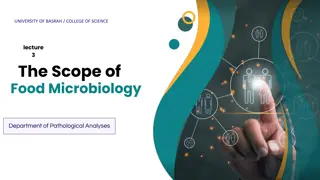 Insights into Airborne Microorganisms and Fungi: Implications for Food Safety