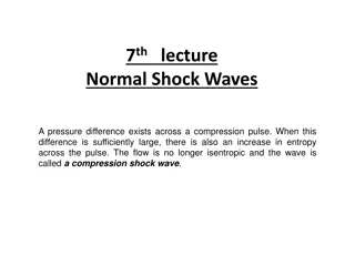 Normal Shock Waves in Gas Dynamics