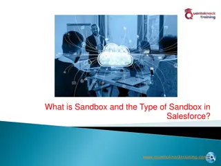 What is Sandbox and the Type of Sandbox in Salesforce