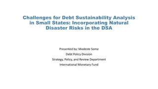 Challenges in Debt Sustainability Analysis for Small States