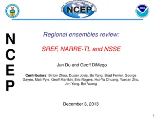 NCEP Regional Ensembles Review Summary