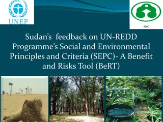 Feedback on UN-REDD Programme's SEPC and BeRT in Sudan