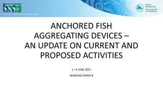 Update on Anchored Fish Aggregating Devices Activities