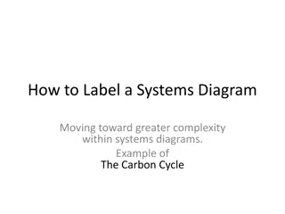 Systems Diagrams Complexity: Carbon Cycle & Whale Pump