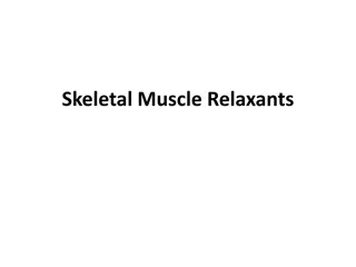 Skeletal Muscle Relaxants and Muscle Contraction Mechanisms