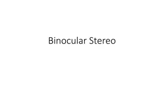 Binocular Stereo Vision: Depth Perception and Correspondence Challenges