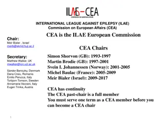 ILAE Commission on European Affairs Accomplishments