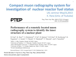 Compact Muon Radiography System for Investigation of Nuclear Reactor Fuel Status