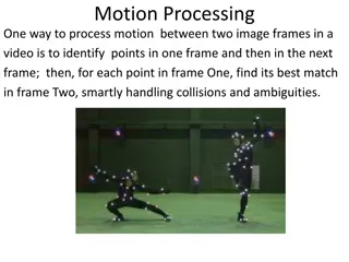 Motion Processing and 2D Motion Modeling