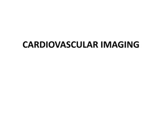 Comprehensive Guide to Cardiovascular Imaging and Anatomy