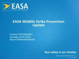 EASA Wildlife Strike Prevention Update at WBA Conference