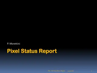 Summary of ITk Pixel Status Reports and Organization Updates