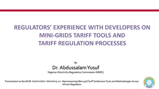 Challenges Faced by Developers in Mini-Grid Projects