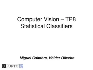 Statistical Classifiers in Computer Vision