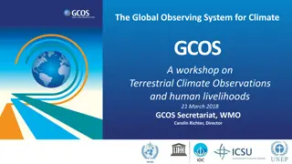 The Global Observing System for Climate and Terrestrial Climate Observations