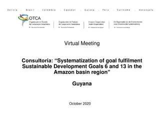 Sustainable Development Goals 6 & 13 Consultation for Amazon Basin Region in Guyana (October 2020)