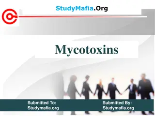 Understanding Mycotoxins: Risks, Sources, and Prevention