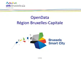 Open Data Initiatives in Brussels-Capital: A Comprehensive Overview