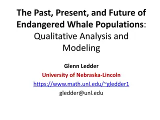 Endangered Whale Populations through Mathematical Modeling