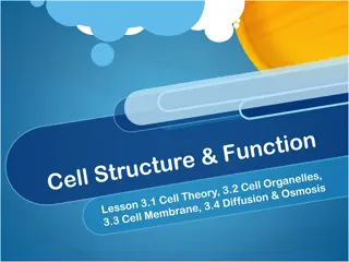 Cells: Structure, Function, and Evolution