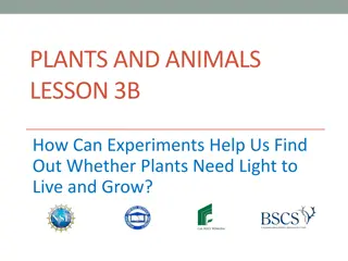 Exploring the Role of Light in Plant Growth through Experiments