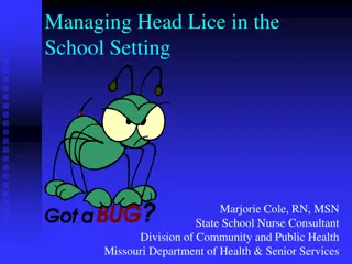 Managing Head Lice in School: A Comprehensive Guide