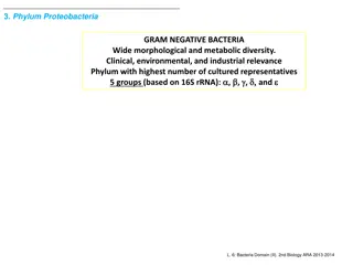 Diverse World of Proteobacteria