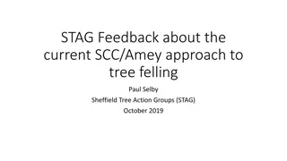 Evaluation of SCC/Amey Approach to Tree Felling - STAG Feedback