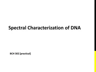 DNA Structure and Denaturation Process