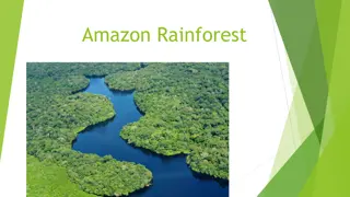 The Importance of the Amazon Rainforest and the Effects of Deforestation