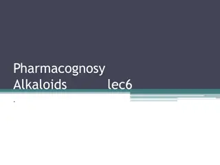 Overview of Alkaloids in Pharmacognosy