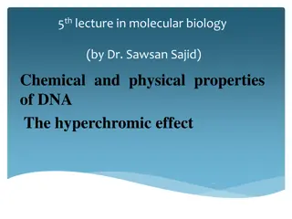 The Chemical and Physical Properties of DNA