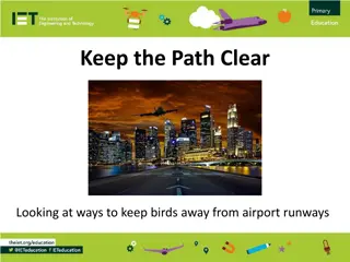 Bird Control Methods at Airports