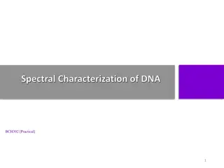 Structural Elements of DNA in Molecular Biology