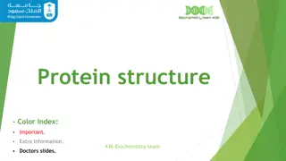 Understanding Protein Structure and Function in Biochemistry