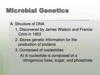 DNA: Structure, Replication, and Expression