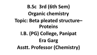 Beta Pleated Sheet Structure in Proteins