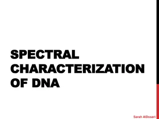 DNA Structure: A Comprehensive Overview