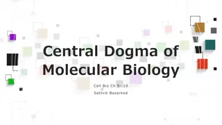 Understanding the Central Dogma of Molecular Biology - DNA, Chromosomes, and Gene Regulation