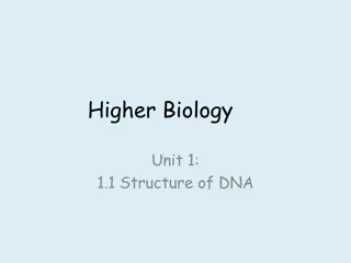 Understanding the Structure of DNA