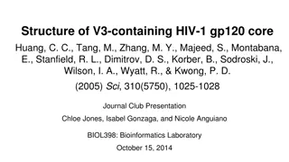 Role of V3 Region in HIV Entry to CD4 T-Cells