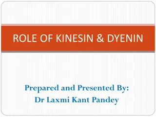 Understanding the Roles of Kinesin and Dynein in Cellular Transport