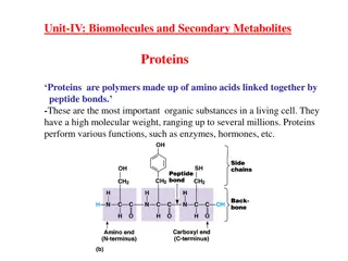 Understanding Proteins: Structure and Function