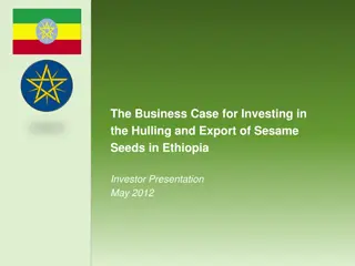 Investing in Sesame Seeds Hulling and Export in Ethiopia: A Lucrative Opportunity