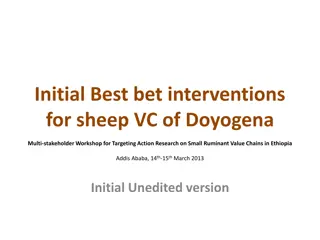 Best Interventions for Sheep Value Chains in Ethiopia