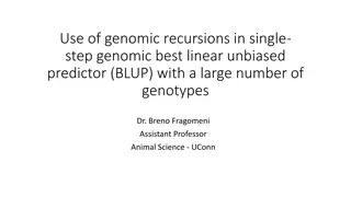 Genomic Recursions in Genomic BLUP for Animal Breeding